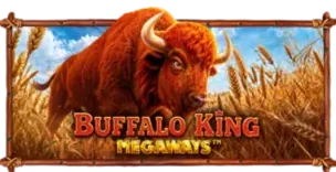 ภาพเกม Buffalo King Megaways ที่ pgz999 รวบรวมไว้